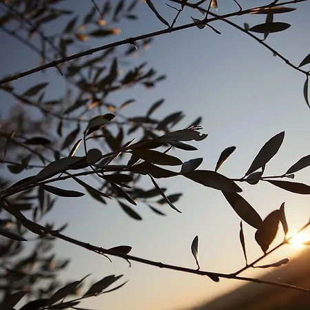 Apartamento Agriturismo La Mela *