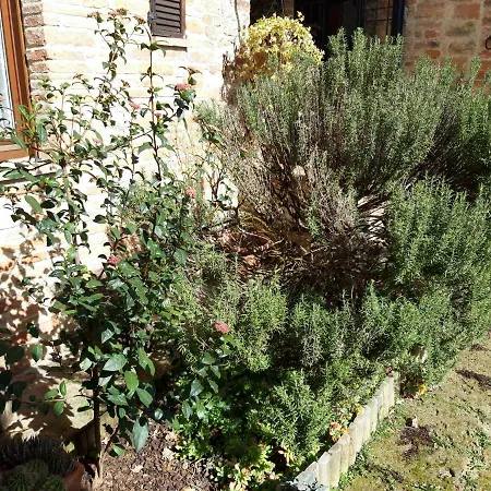 Agriturismo La Mela Appartement *