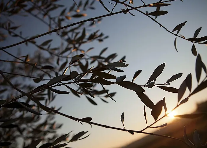 Appartement Agriturismo La Mela *